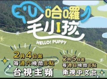 哈啰！毛小孩